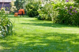 travaux jardin et paysage Lelling